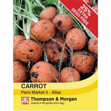 Carrot Paris Market - Atlas