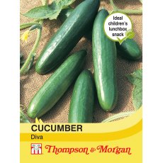 Cucumber Diva