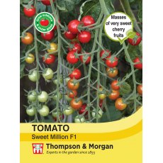 Tomato Sweet Million F1 Hybrid Tomato Sweet Million F1 Hybrid