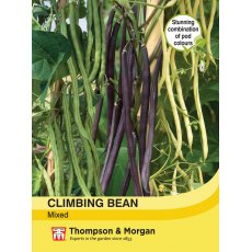 Climbing Bean Mixed