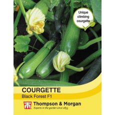 Courgette Black Forest F1 Hybrid