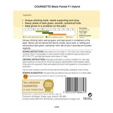 Courgette Black Forest F1 Hybrid