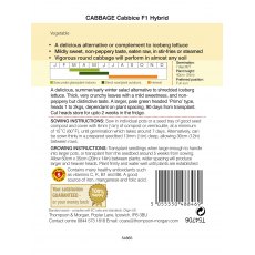 Cabbage Cabbice F1 Hybrid