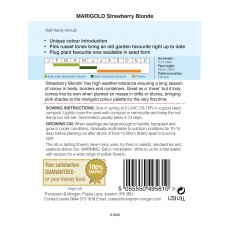 Marigold Strawberry Blonde (French)