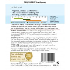 Busy Lizzie Worldbeater