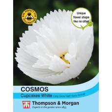 Cosmos Cupcakes - White