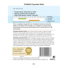 Cosmos Cupcakes - White