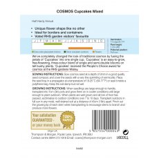 Cosmos Cupcakes - Mixed