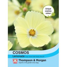 Cosmos Lemonade