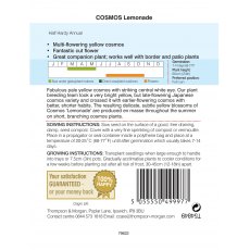 Cosmos Lemonade