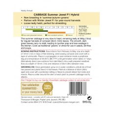 Cabbage Summer Jewel F1 Hybrid