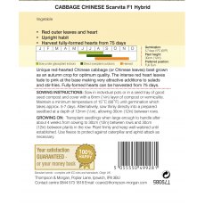Cabbage Chinese Scarvita F1 Hybrid