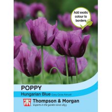 Poppy Hungarian Blue