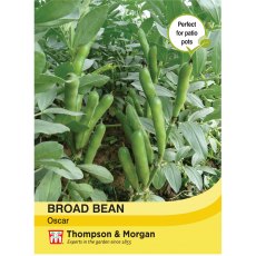 Broad Bean Oscar