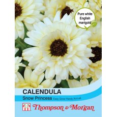 Calendula Snow Princess