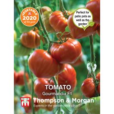 Tomato Gourmandia F1 Hybrid