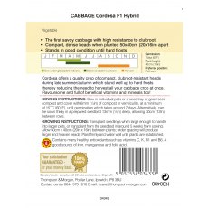 Cabbage Savoy Cordesa F1 Hybrid