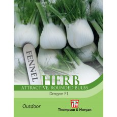 Herb Fennel Dragon F1 Hybrid