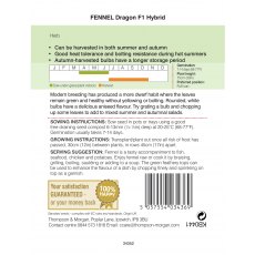 Herb Fennel Dragon F1 Hybrid