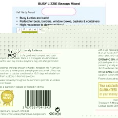 Busy Lizzie Beacon Mixed