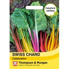 Swiss Chard Celebration