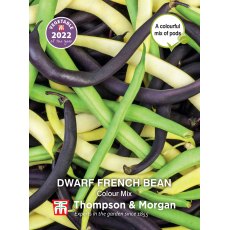 Dwarf French Bean Colour Mix