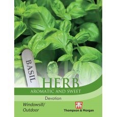 Herb Basil Devotion