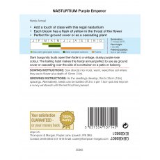 Nasturtium Purple Emperor