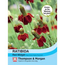 Ratibida columnifera 'Red Midget'