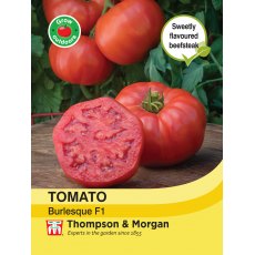 Tomato Burlesque F1