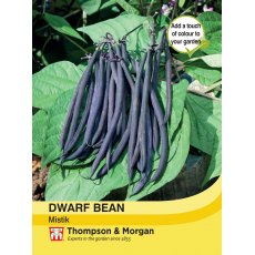 Dwarf Bean Mistik