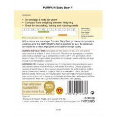 Pumpkin Baby Bear F1