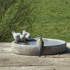 Concrete Bird Bath