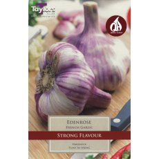 GARLIC - FRENCH 'Eden Rose'