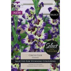 TAYLORS Gladioli Circus Club - Special Edition