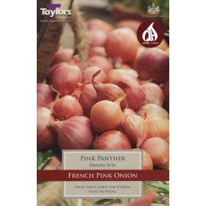 ONION 'Pink Panther'