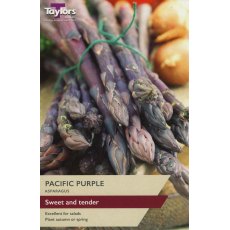 ASPARAGUS Pacific Purple
