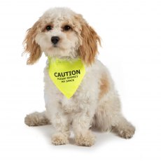 ANCOL Warning Bandana Yellow S/M 20cm