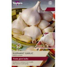 TAYLORS Garlic Elephant