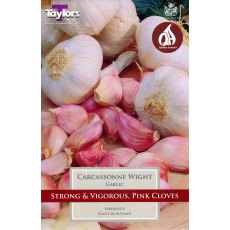 TAYLORS Garlic Carcassonne Wight