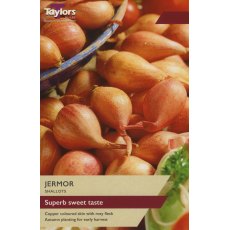 TAYLORS Shallot Jermor