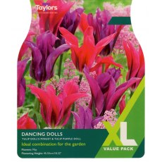 TAYLORS Tulip Dancing Dolls TAYLORS Tulip Dancing Dolls