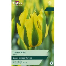 TAYLORS Tulip Green Mile TAYLORS Tulip Green Mile