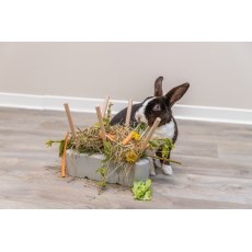 TRIXIE Food manger, ceramic/wood 26 × 23 × 17 cm, grey