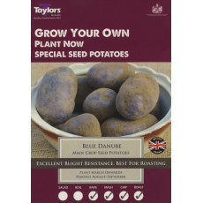 SEED POTATO - MAIN CROP 'Blue Danube' - Taster Pack