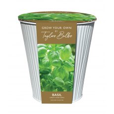 TAYLORS Indoor Basil Zinc Planter