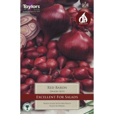 ONION 'Red Baron'