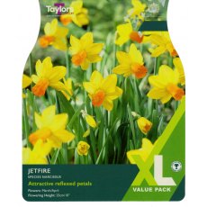 TAYLORS Narcissus Jetfire XL TAYLORS Narcissus Jetfire XL