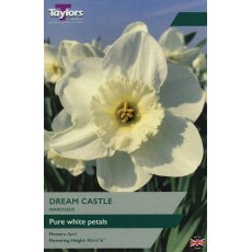 TAYLORS Narcissus Dream Castle TAYLORS Narcissus Dream Castle