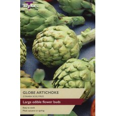 GLOBE ARTICHOKE